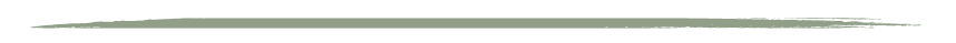Untitled design-155